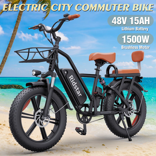 RIDSTAR 1500W 30MPH 30-70Miles 48V 15.6AH Removable Battery Electric Bike 20 Inch x 4 Inch Fat Tire Commuting Two Seater for Adults
